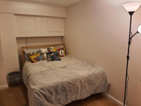Room in Central London with shared bathroom